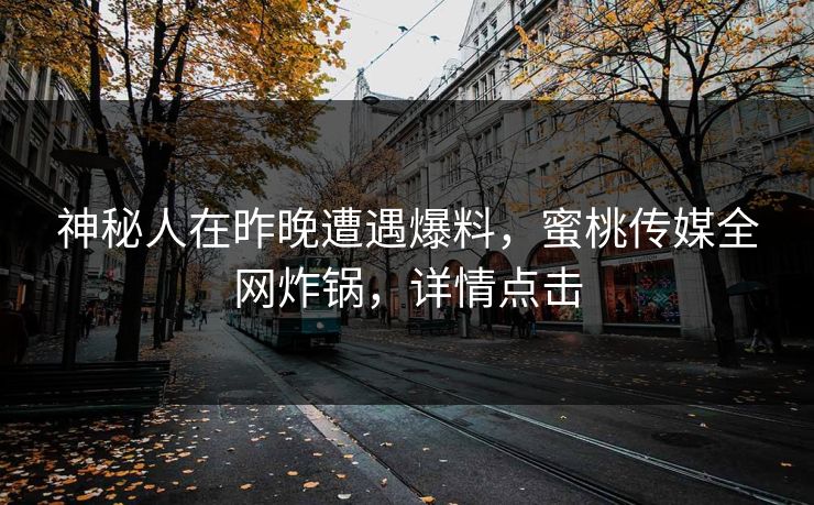 神秘人在昨晚遭遇爆料，蜜桃传媒全网炸锅，详情点击