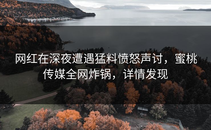 网红在深夜遭遇猛料愤怒声讨，蜜桃传媒全网炸锅，详情发现