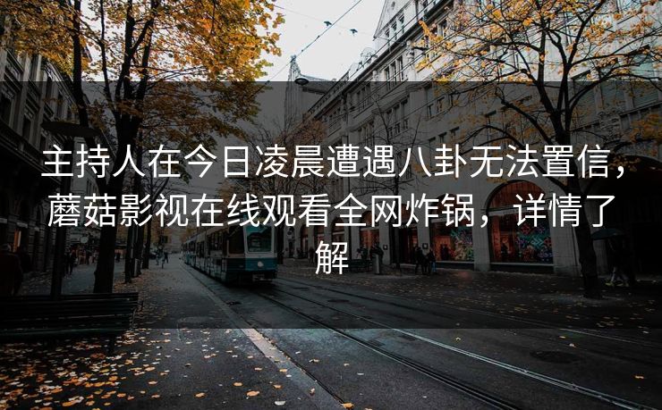 主持人在今日凌晨遭遇八卦无法置信，蘑菇影视在线观看全网炸锅，详情了解