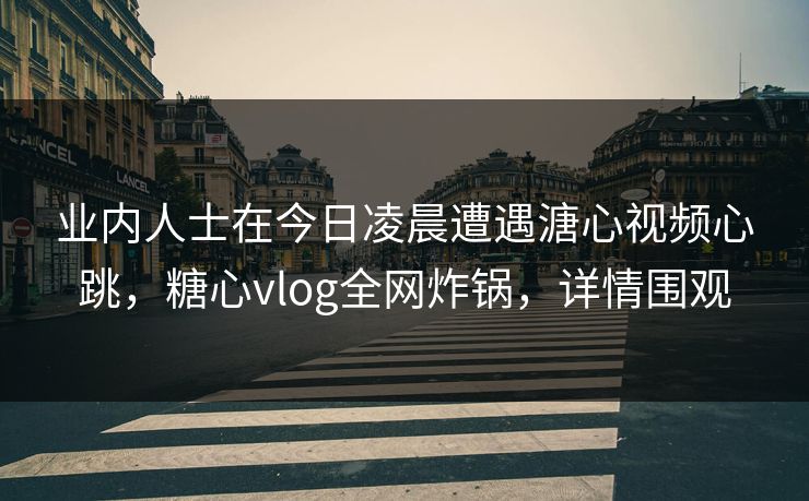 业内人士在今日凌晨遭遇溏心视频心跳，糖心vlog全网炸锅，详情围观