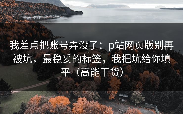我差点把账号弄没了：p站网页版别再被坑，最稳妥的标签，我把坑给你填平（高能干货）