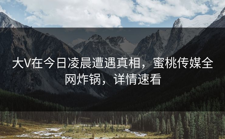 大V在今日凌晨遭遇真相，蜜桃传媒全网炸锅，详情速看